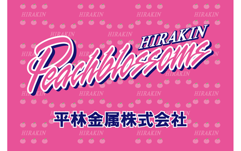 平林金属