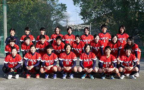 ｎｅｃプラットフォームズ 18 シーズン 日本女子ソフトボールリーグ